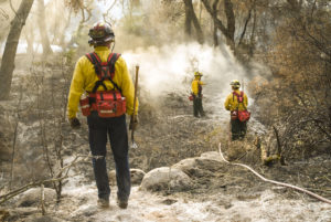 firefighters survey smoke in a forest